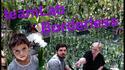 teamLab Borderless - quand le digital rencontre l’Art japonais