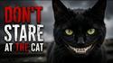 De bien vilain chats