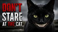 De bien vilain chats