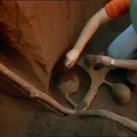 A quoi ressemble une ville de fourmi 