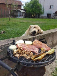 Soon