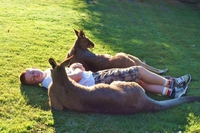 Une petite sieste