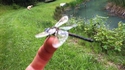 Autofocus