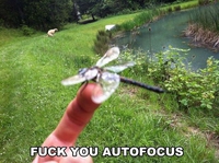 Autofocus