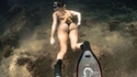 La jolie étoile de mer 