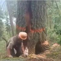 Quand ça part en vrille