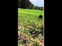 À la resc-ours