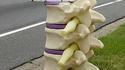 Chiropracteur
