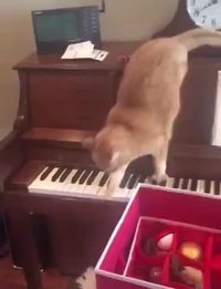 Par la non alors par la