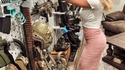 Avoir un hôte collectionneur