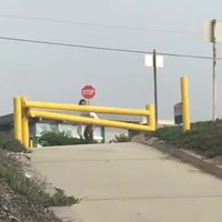 Un skateur doué pour sauter