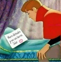 La belle au bois dormant