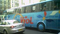 Bus Viol