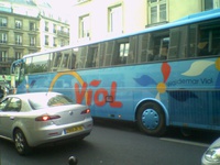 Bus Viol