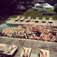 Toto va à la piscine