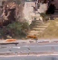 C'est une heure pour les dérogations de balade d'animaux ?