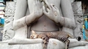 Que veut faire cette statue avec ses doigts ?