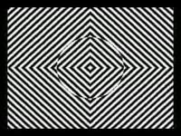 Hallucinogène naturel
