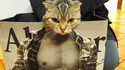 BodybuildCat