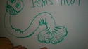 Penis'Ticot