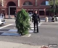 Qui a dit que rien n'arrêtait la nature ?