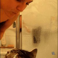 Un câlin