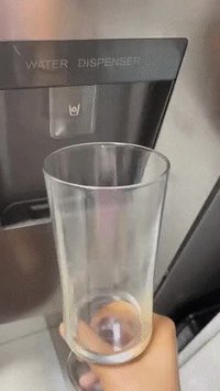 J'sais pas de quoi il s'agit, mais c'est peu appétissant