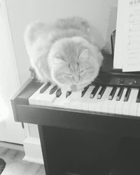 Compositeur de musique de film de peur