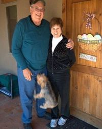 L'intervention du chien