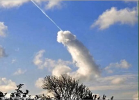  A la recherche des phallus perdus 256