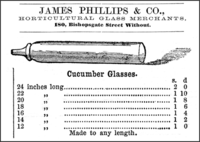 Redresseur de concombre