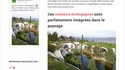 Des maisons insolites