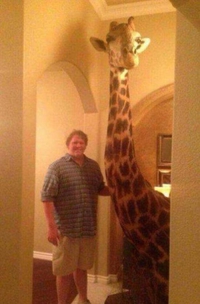 "Chérie, devine qui vient manger ce soir?"
