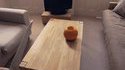 La citrouille qui bouge