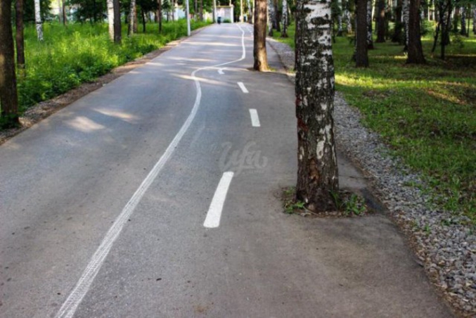 Même pas de piste cyclable, c'est quoi ce pays ?
Notez qu'il ont évité les arbres pour la peinture, ils sont écolos !