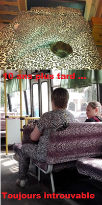 Camouflage léopard
