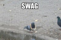 SWAG