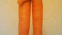 A la recherche des phallus perdus 34