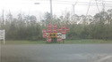 Stop !  Stop ! Stop !