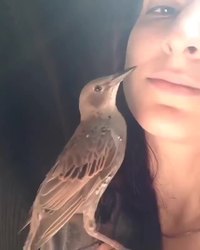 Soin du visage maison