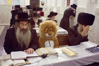 Un lion convenable