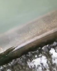 The magic fountain