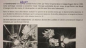 Un prof qui sait intéresser ses élèves