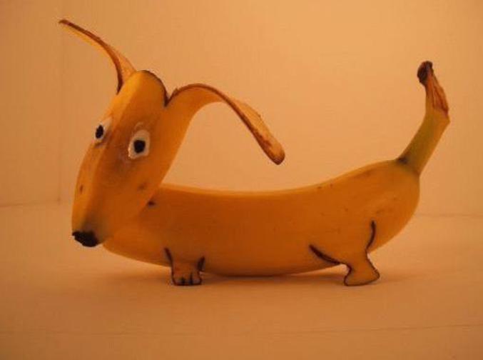 Un petit chien en banane.