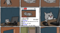 La carrière de lolcat