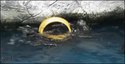 The Loutre of the rings.