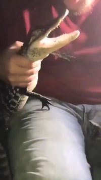 Non mais arrêtez de le chauffer