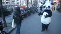 La force du panda