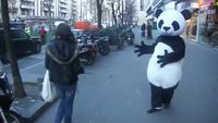 La force du panda