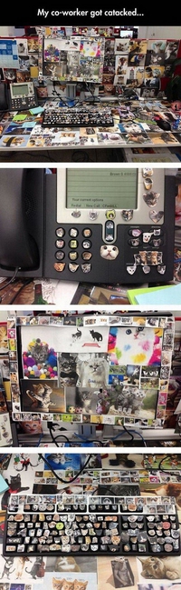 Le bureau de Thiche